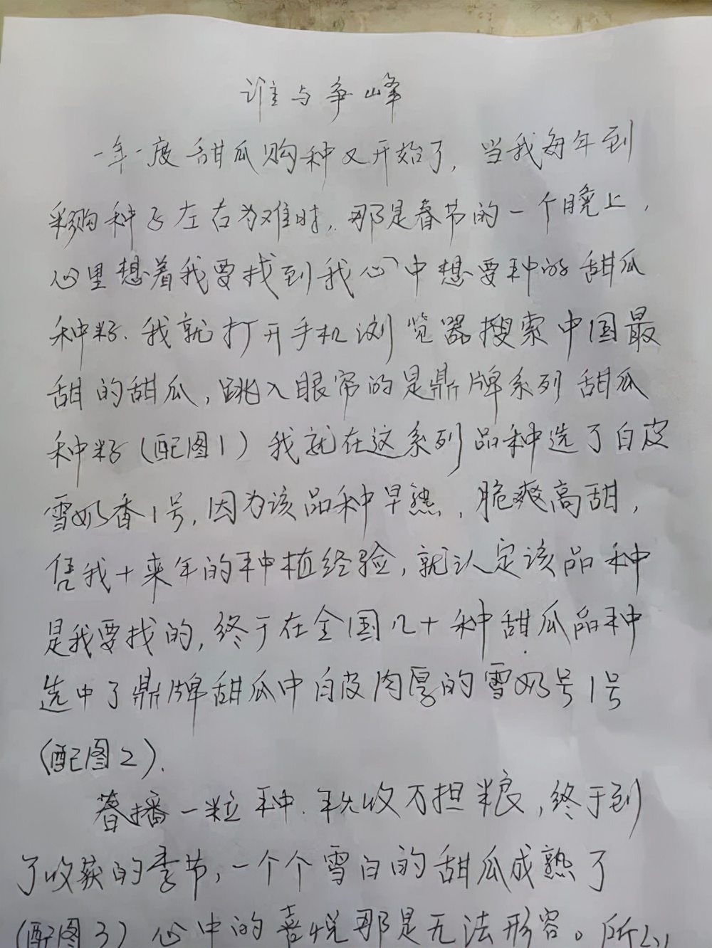 河南焦作的李向林今年種植甜瓜新品種，客戶直接拉貨走人